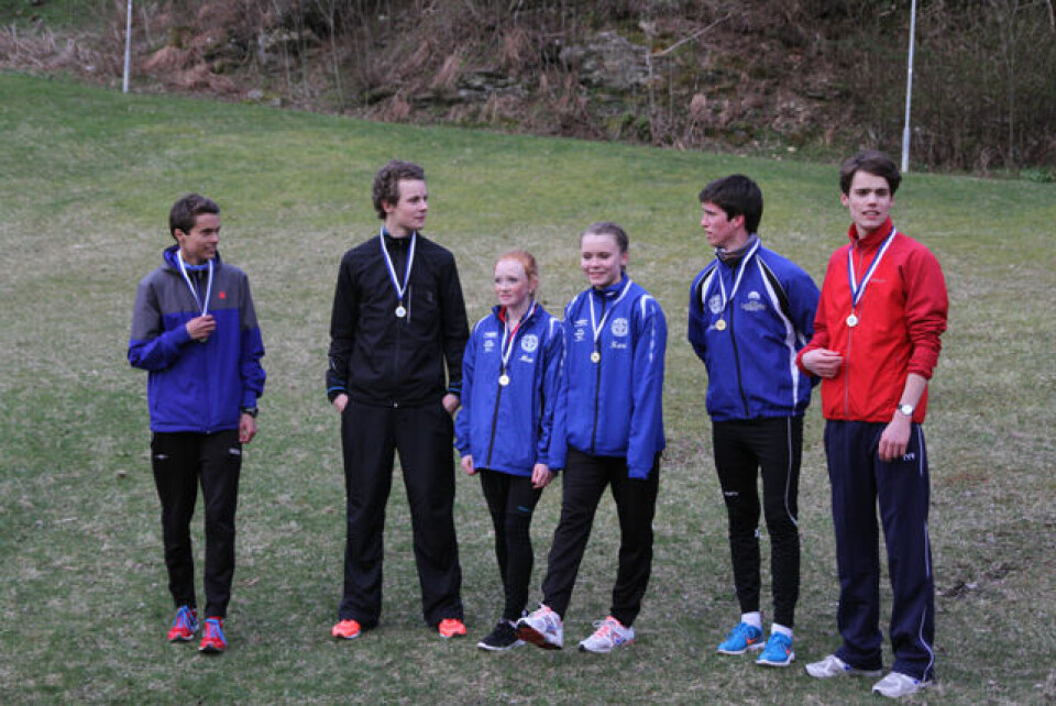 Tynt rundt Tveitevannet