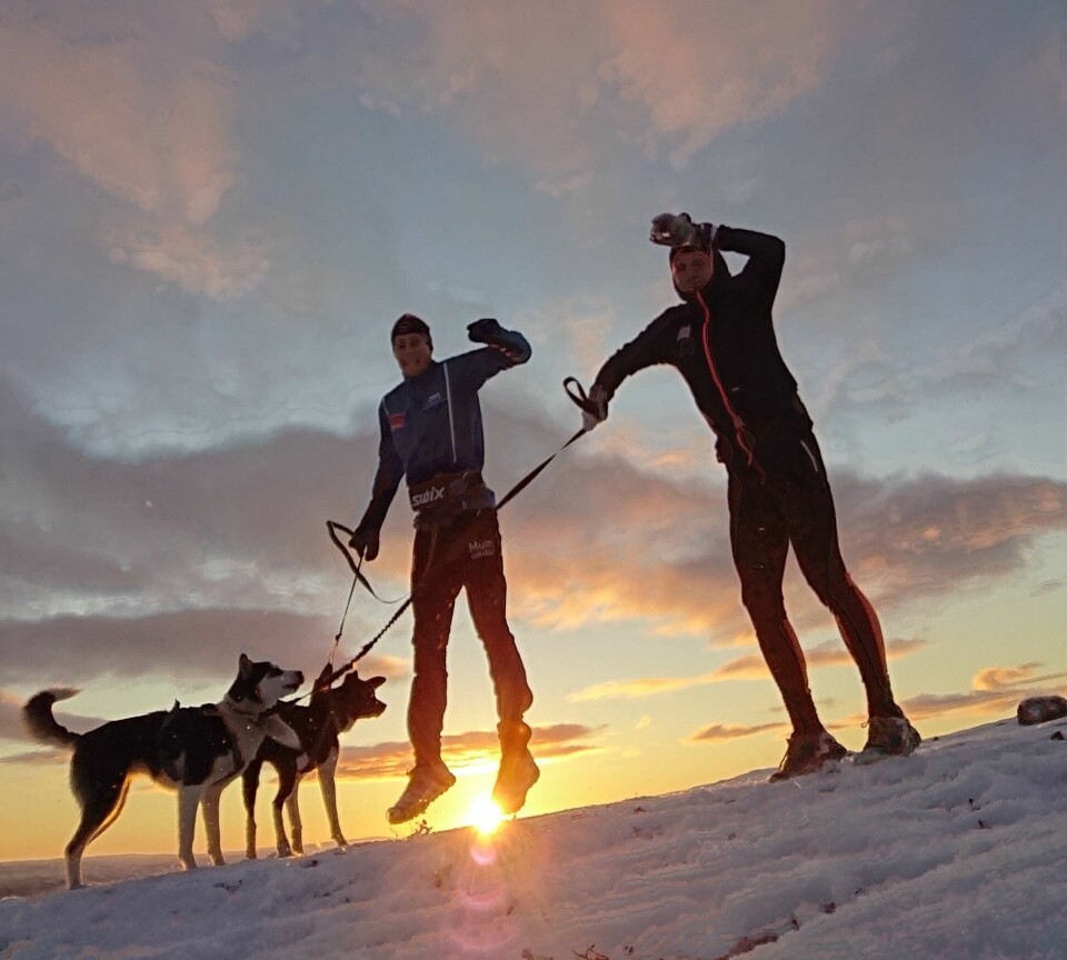 Liker mørketida: Daniel Strand (t.h) liker å trene ute når det er kaldt og glitrende nordlys. Her sammen med Petter Eliassen og hundene. Foto: Privat Liker mørketida: Daniel Strand (t.h) liker å trene ute når det er kaldt og glitrende nordlys. Her sammen med Petter Eliassen og hundene. Foto: Privat