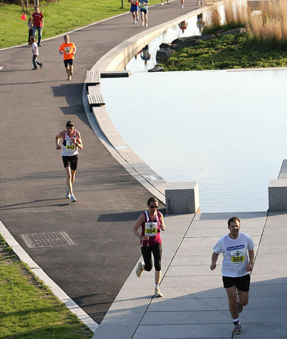 850 løp Fornebuløpet 10km_fra_bro_9C0E7966