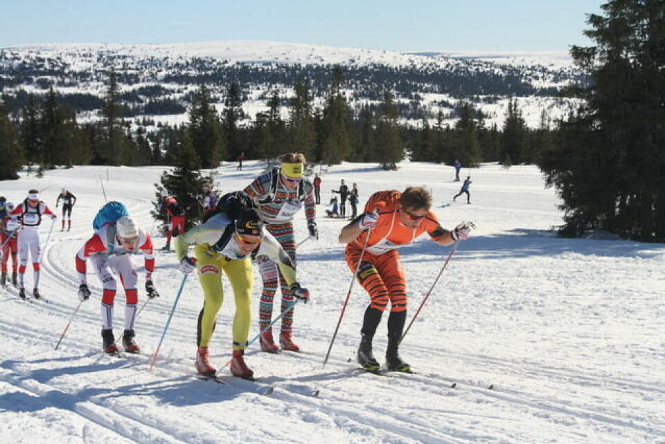 Vetle Thyli og Christoffer Callesen i front i halvvveis i HalvBirken 2015. (Foto: Kjell Arild Andersen) Vetle Thyli og Christoffer Callesen i front i halvvveis i HalvBirken 2015. (Foto: Kjell Arild Andersen)