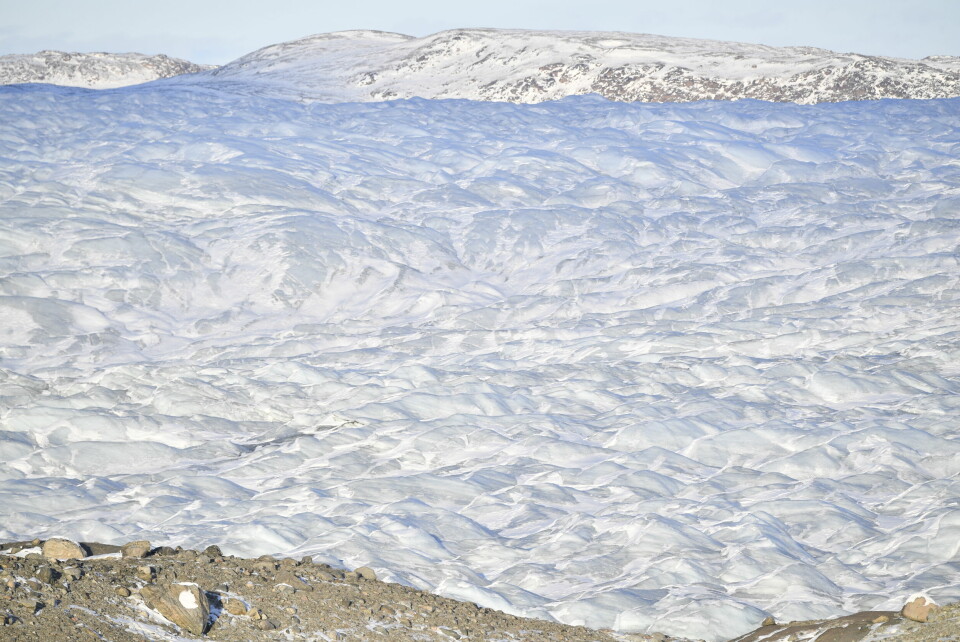 Marianne Nesje og Ragnhild Audestad løp 'Isbjørn-utfordringen' 20x30-PMXX0000.jpg