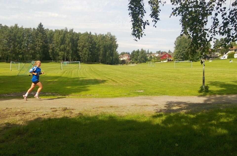 Det finnes fantastiske områder for alle typer løping i Hamar og nærområdet. Her fra Ankerskogen hvor første økt vil foregå. (Foto: Hamar kommune) Det finnes fantastiske områder for alle typer løping i Hamar og nærområdet. Her fra Ankerskogen hvor første økt vil foregå. (Foto: Hamar kommune)