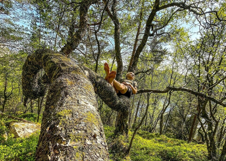 Naturnær: Å løpe – og klatre – barbeint kan være en måte å komme nærmere naturen på. (Foto: Nicholas Forstrønen Bruarøy) Naturnær: Å løpe – og klatre – barbeint kan være en måte å komme nærmere naturen på. (Foto: Nicholas Forstrønen Bruarøy)