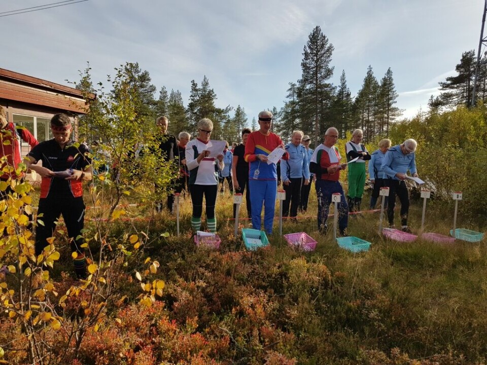 Sesongavslutning for bedrifts-o-løperne i høstfarger Klare til start.jpg