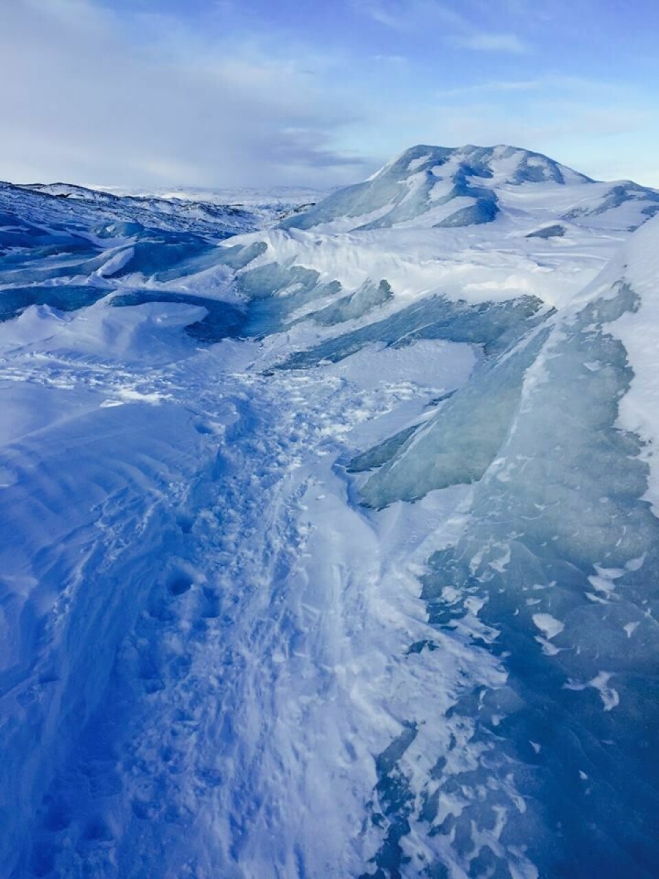 Marianne Nesje og Ragnhild Audestad løp 'Isbjørn-utfordringen' inspeksjon-ragnhildfoto.jpg