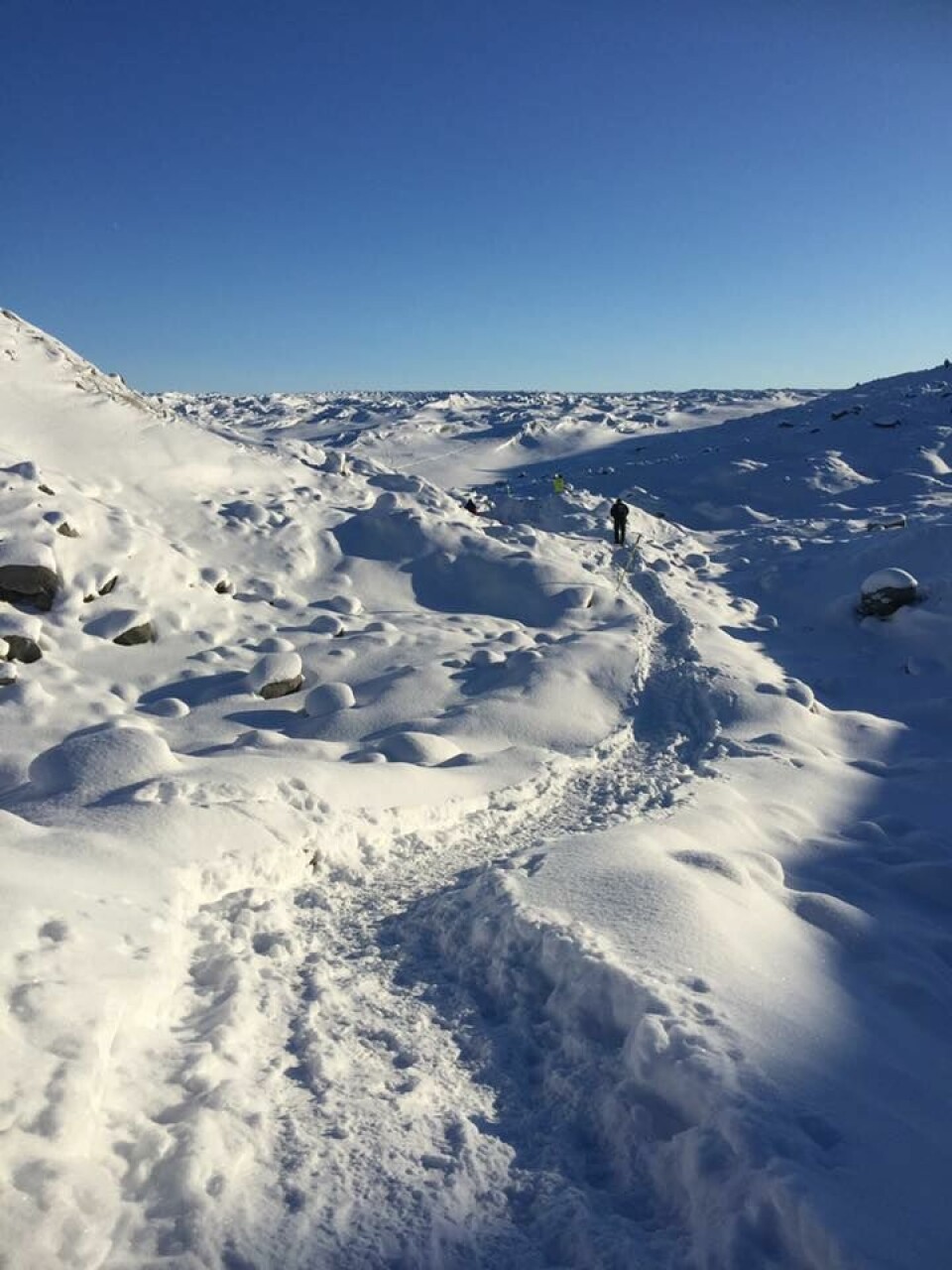 Marianne Nesje og Ragnhild Audestad løp 'Isbjørn-utfordringen' løypeinspeksjon_mariannefoto.jpg