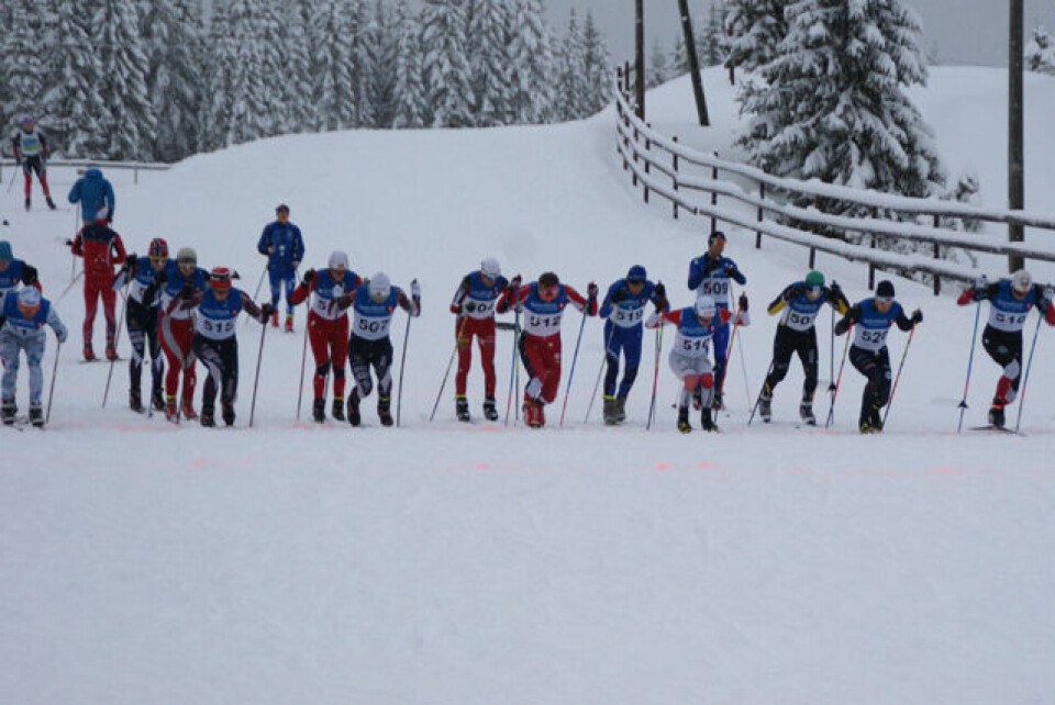 Fra fellesstarten for menn senior på Budor 4. juledag. (Foto: Stein Arne Negård) Fra fellesstarten for menn senior på Budor 4. juledag. (Foto: Stein Arne Negård)