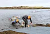 Swimrun.jpg