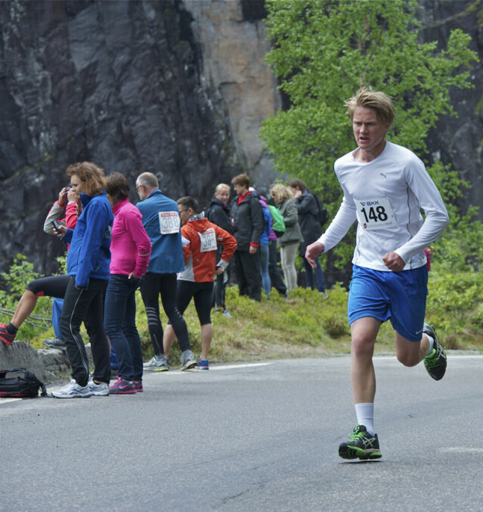 Slethaug til topps i Bergsdalen