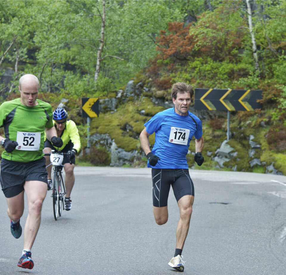 Slethaug til topps i Bergsdalen