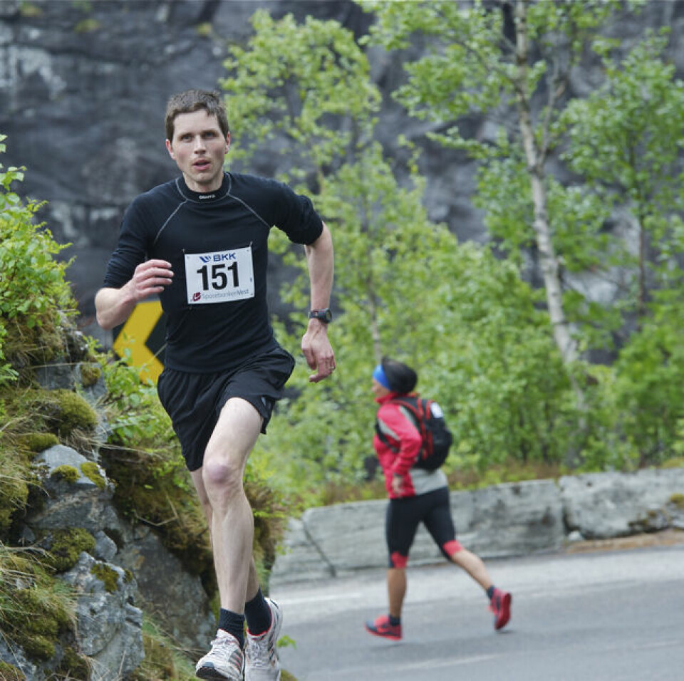 Slethaug til topps i Bergsdalen