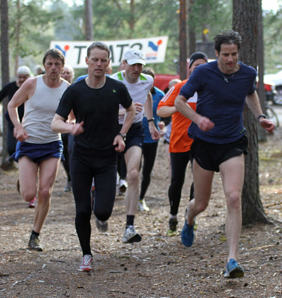 Frøen først på furumoen Fire_beste_fra_start