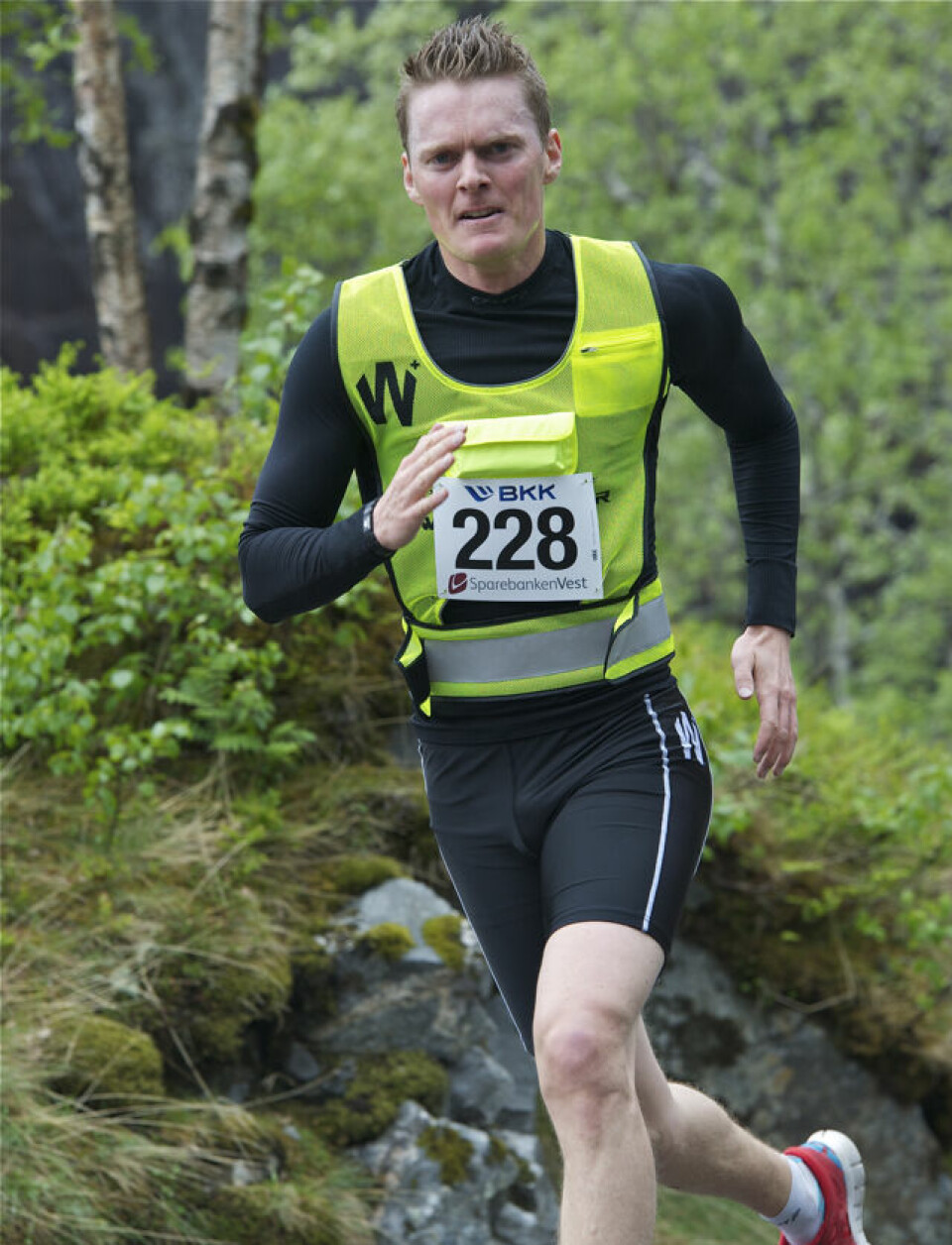 Slethaug til topps i Bergsdalen