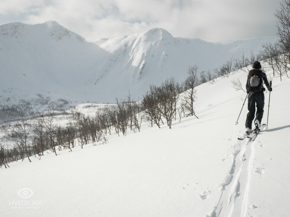 Nytt randoneeløp 13. april: Vargfjordtind OPP/NED Ellingjord-Hvitblikk20190326__7196.jpg