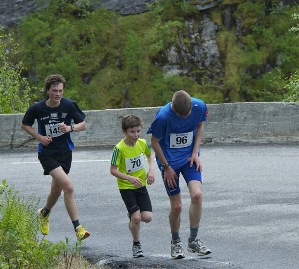 Slethaug til topps i Bergsdalen