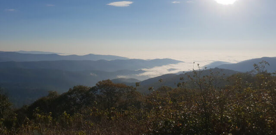 BLOGG: HundreMilesKongen® blir til på Grindstone 100 Miles