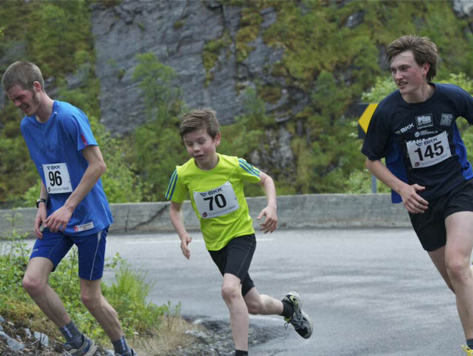Slethaug til topps i Bergsdalen