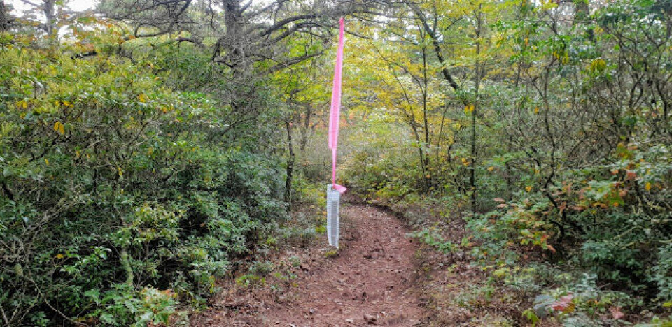 BLOGG: HundreMilesKongen® blir til på Grindstone 100 Miles