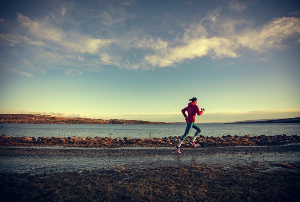 Slik kan du trene mot maraton på under tre timer Marthe Katrine Myhre