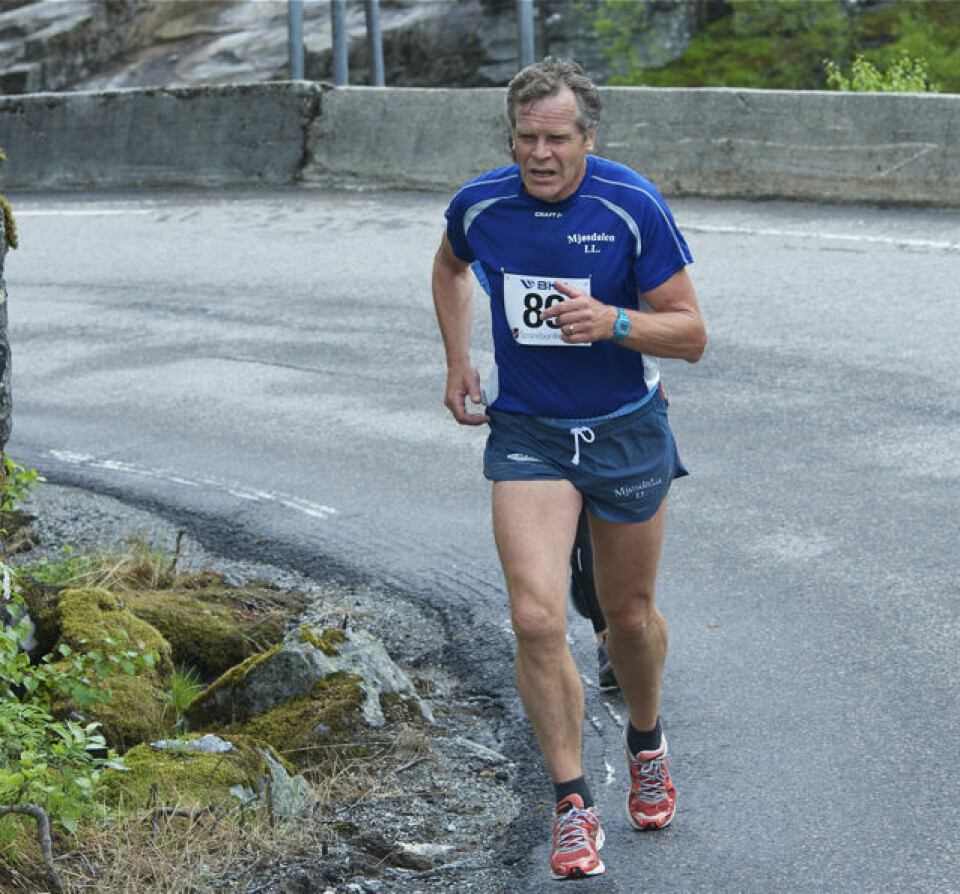 Slethaug til topps i Bergsdalen