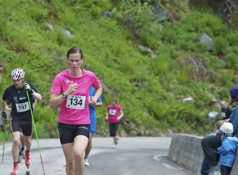 Slethaug til topps i Bergsdalen