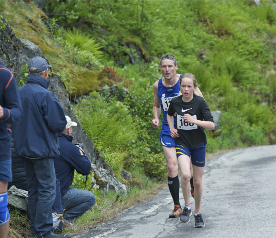 Slethaug til topps i Bergsdalen