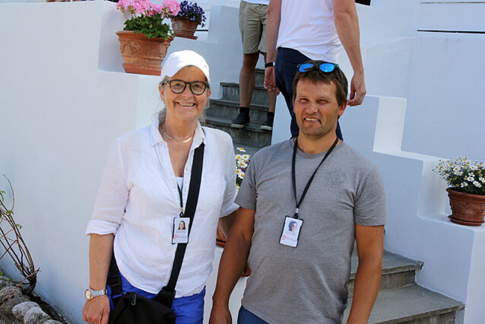 NM-favorittene innfridde under Molden Opp IMG_4496.jpg