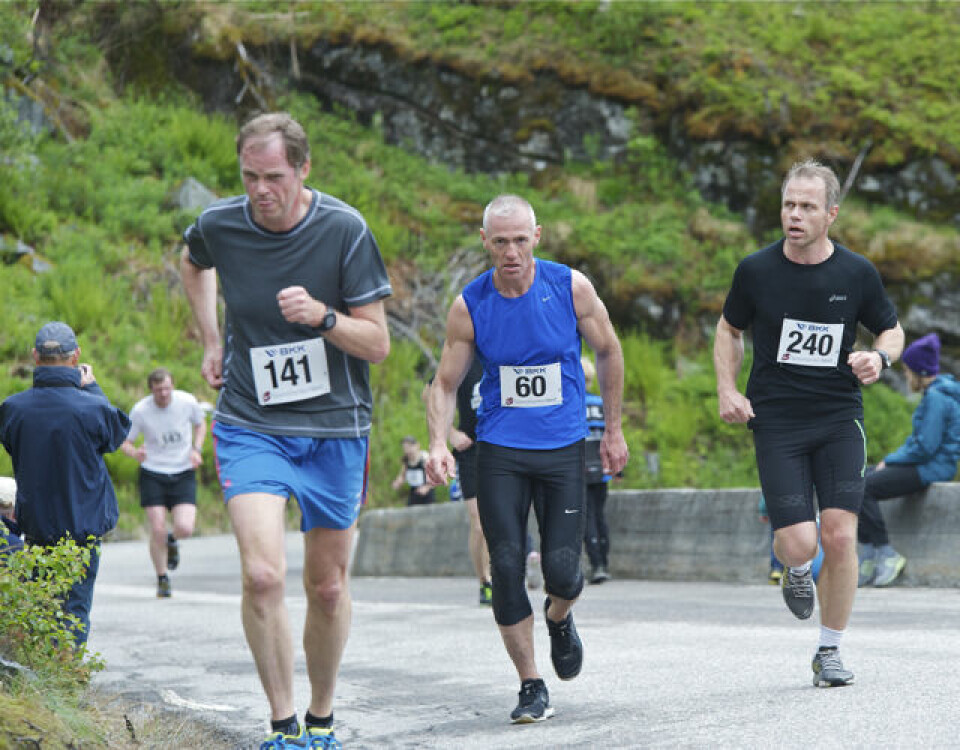 Slethaug til topps i Bergsdalen