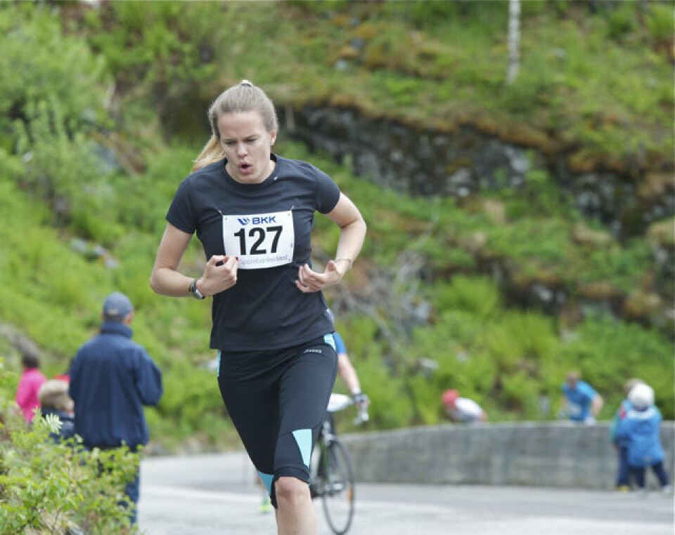 Slethaug til topps i Bergsdalen