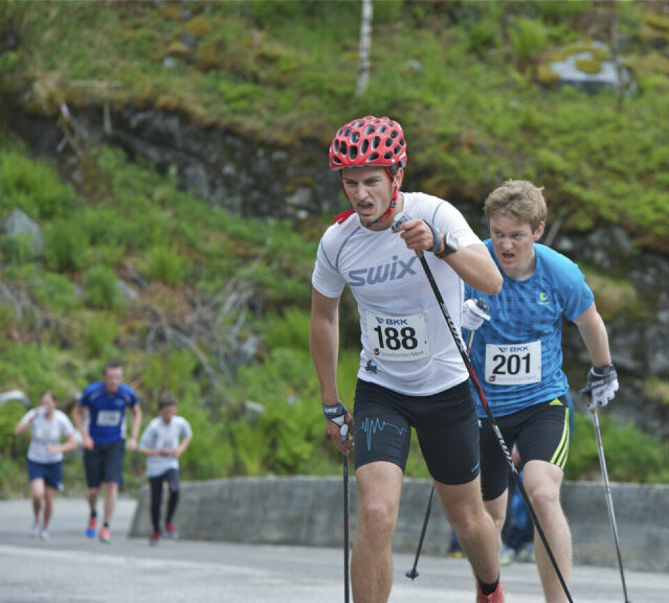 Slethaug til topps i Bergsdalen