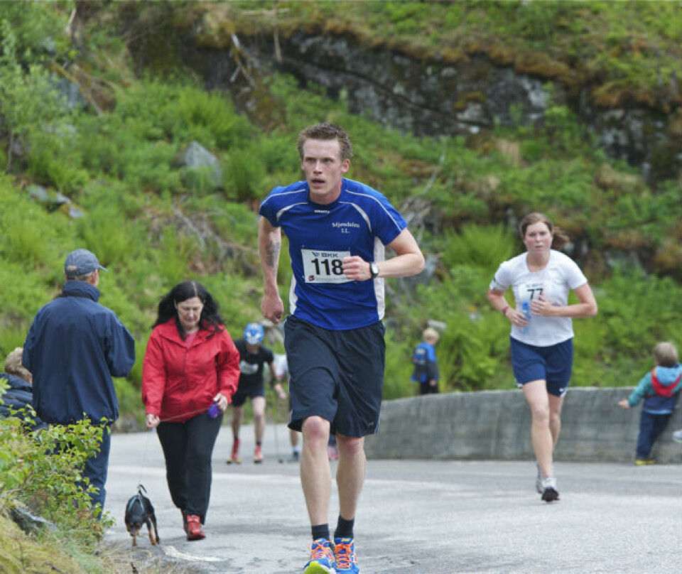 Slethaug til topps i Bergsdalen