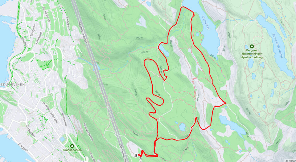 Stor oppslutning om NightRun i Bergen Løypen_1.jpg