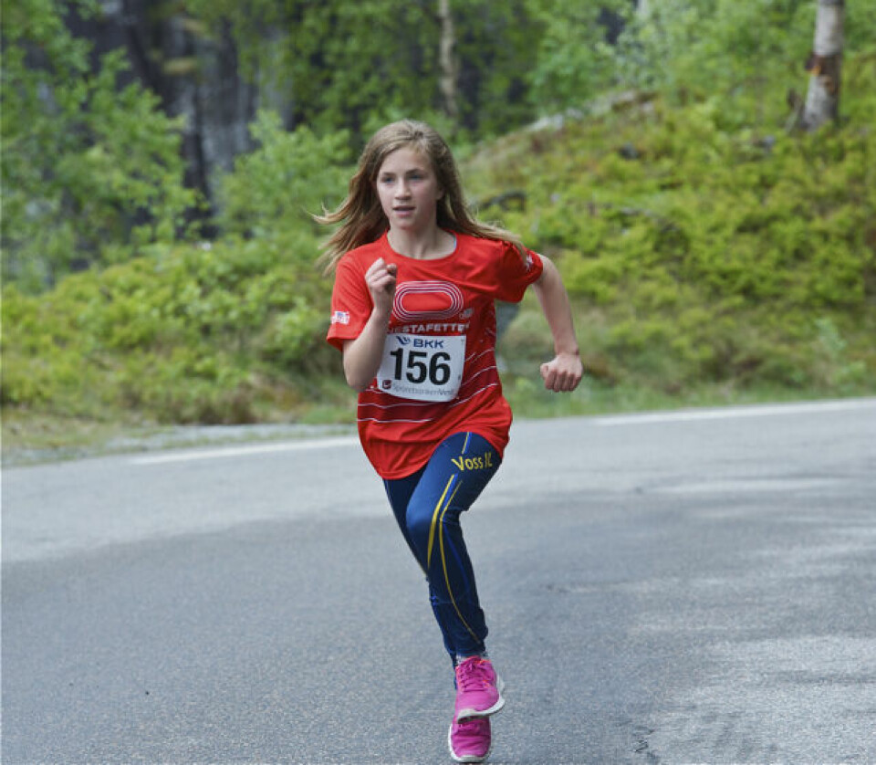 Slethaug til topps i Bergsdalen