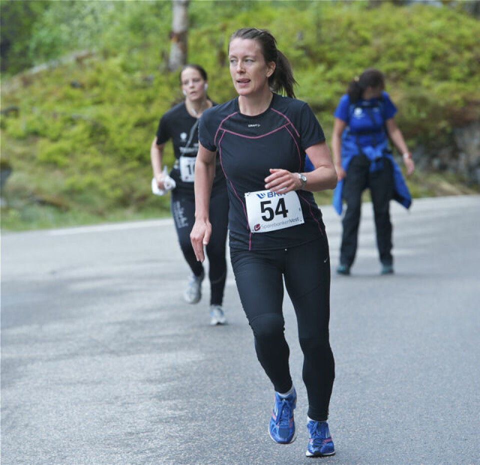 Slethaug til topps i Bergsdalen