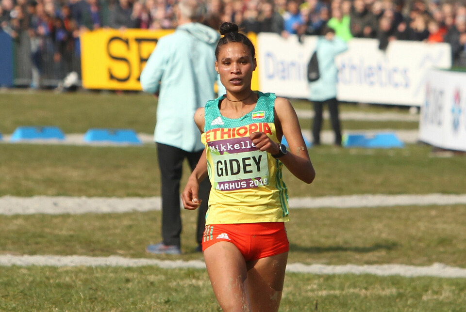 God i terrenget, god på asfalt og god i baneløp: På bildet løper Letesenbet Gidey inn til bronsemedalje i VM i terrengløp i Århus i 2019. (Foto: Kjell Vigestad) God i terrenget, god på asfalt og god i baneløp: På bildet løper Letesenbet Gidey inn til bronsemedalje i VM i terrengløp i Århus i 2019. (Foto: Kjell Vigestad)