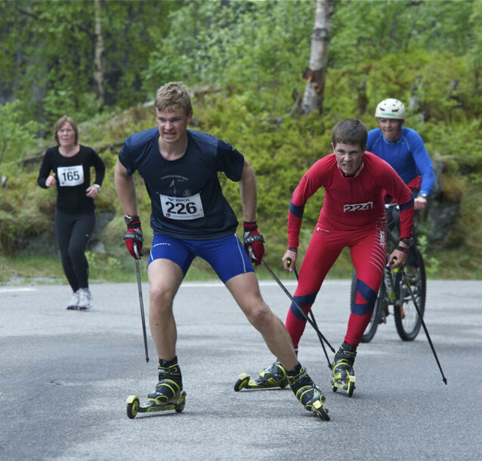Slethaug til topps i Bergsdalen