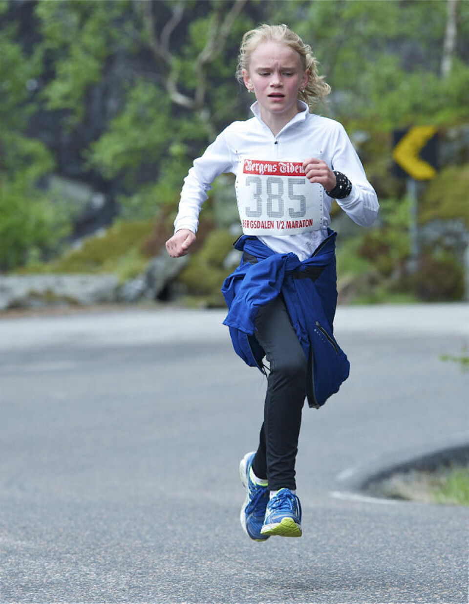 Slethaug til topps i Bergsdalen