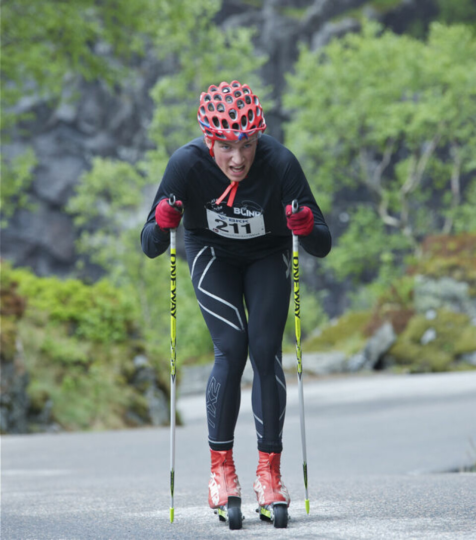 Slethaug til topps i Bergsdalen