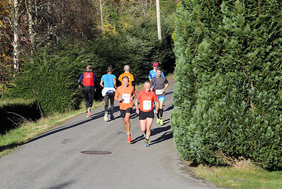 272 fullførte Bergen Maraton i flotte høstfarger (oppdatert) 1P1A9736.jpg