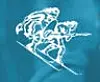 Birkebeinerrennet