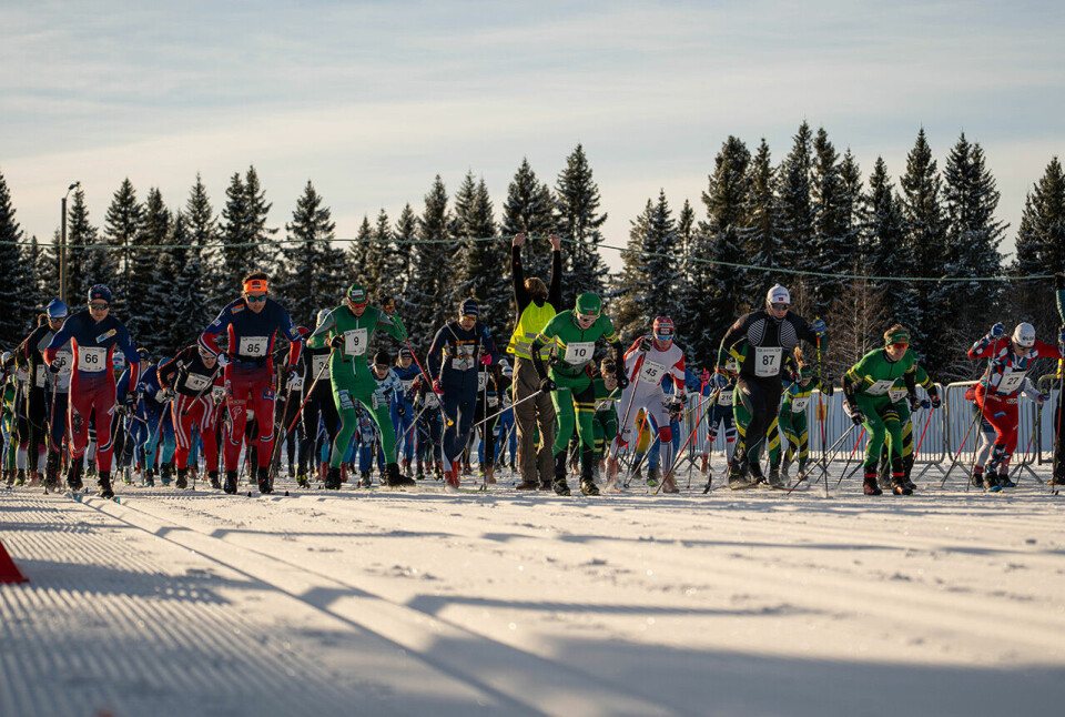 Av de totalt 303 som fullførte Marka Rundt i år var det 242 på 40 km i konkurranseklassen. (Alle foto: Leonie Richarz/NTNUI (CC BY 4.0)) Av de totalt 303 som fullførte Marka Rundt i år var det 242 på 40 km i konkurranseklassen. (Alle foto: Leonie Richarz/NTNUI (CC BY 4.0))