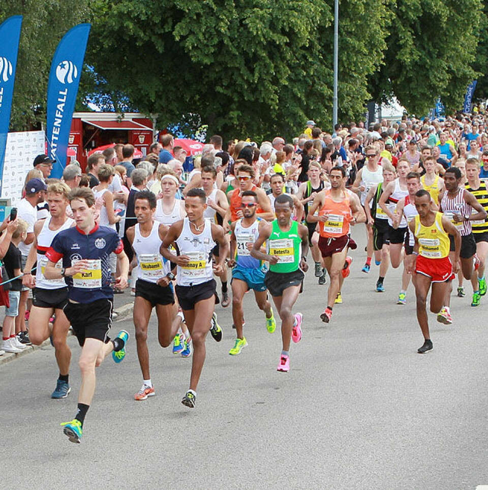 Fra Kraftprovet nr. 30: 1359 løpere starter i hovedløpet på 11,6 km. (Foto: Kjell Vigestad) Fra Kraftprovet nr. 30: 1359 løpere starter i hovedløpet på 11,6 km. (Foto: Kjell Vigestad)
