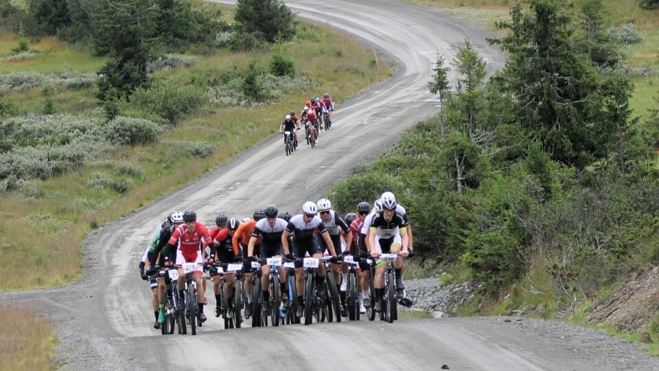Tetpulja opp Elgåsen etter 5 km i fjorårets Sjusjøritt. (Foto: Rolf Bakken) Tetpulja opp Elgåsen etter 5 km i fjorårets Sjusjøritt. (Foto: Rolf Bakken)