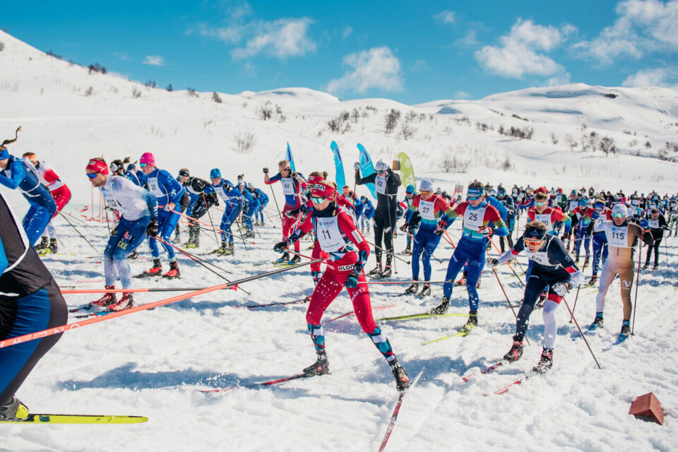 Eit stort felt legg av garde ut i den perfekte løypa. (Foto: Haukelirennet) Eit stort felt legg av garde ut i den perfekte løypa. (Foto: Haukelirennet)