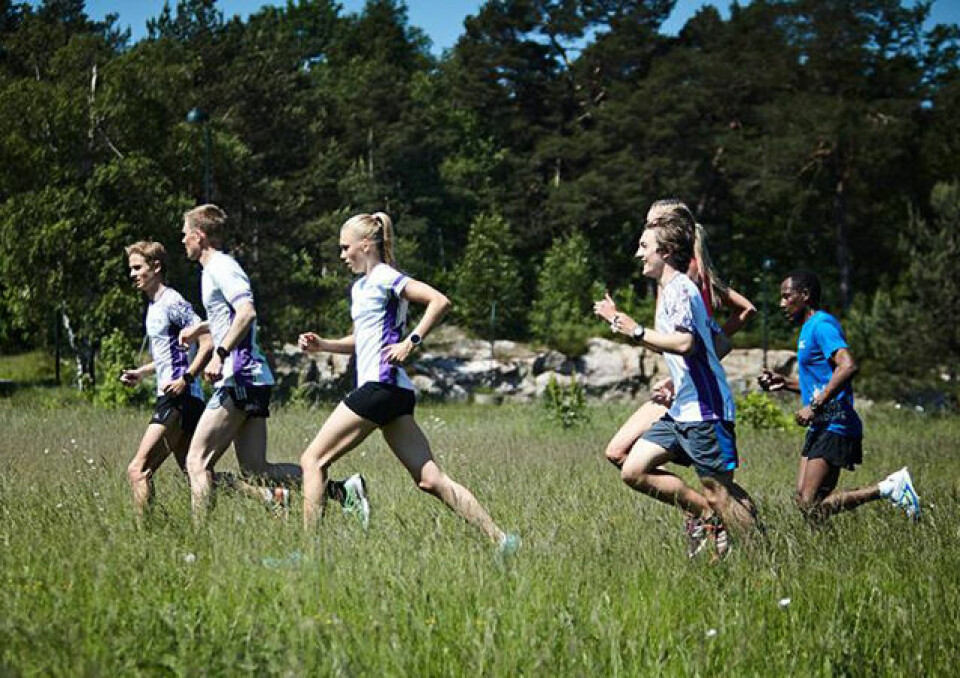 Kristiansand Løpeklubb tester løypa til Nordisk Mesterskap i sommer. Nå er det ikke like grønt og de fleste deltakerne velger å løpe med piggsko. (Foto: arrangøren) Kristiansand Løpeklubb tester løypa til Nordisk Mesterskap i sommer. Nå er det ikke like grønt og de fleste deltakerne velger å løpe med piggsko. (Foto: arrangøren)