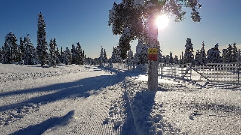 Vinterens vakreste eventyr i Vangsåsen på lørdag 5km_til_maal.jpg
