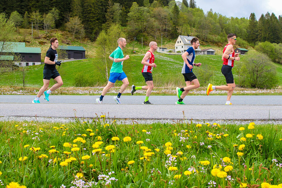 Løypen for halvmaraton i Åsaneløpet går i landlige omgivelser innover mot Gaupås. Her er Inge Magnar Hauståker i front for en gruppe på halvmaraton. (Alle foto: Arne Dag Myking) Løypen for halvmaraton i Åsaneløpet går i landlige omgivelser innover mot Gaupås. Her er Inge Magnar Hauståker i front for en gruppe på halvmaraton. (Alle foto: Arne Dag Myking)