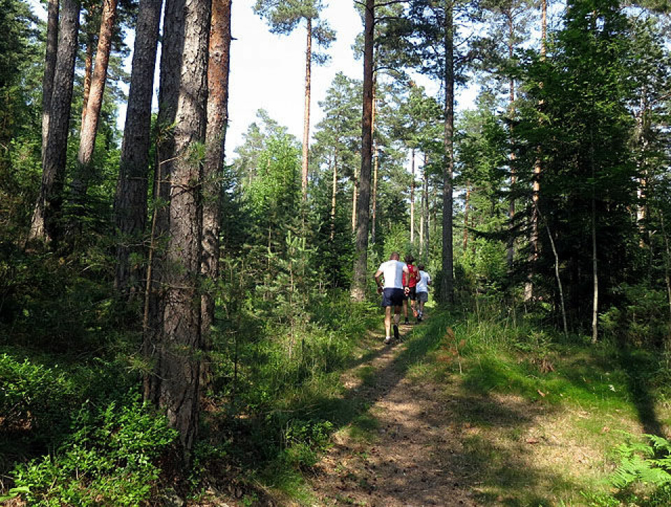 Rødtangen Rundt: Hørthe tilbake! fra_loeypa_IMG_1851.jpg