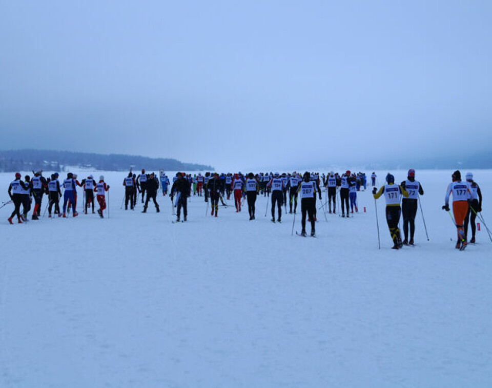 Deltakerrekord i Trysil-Knut-rennet