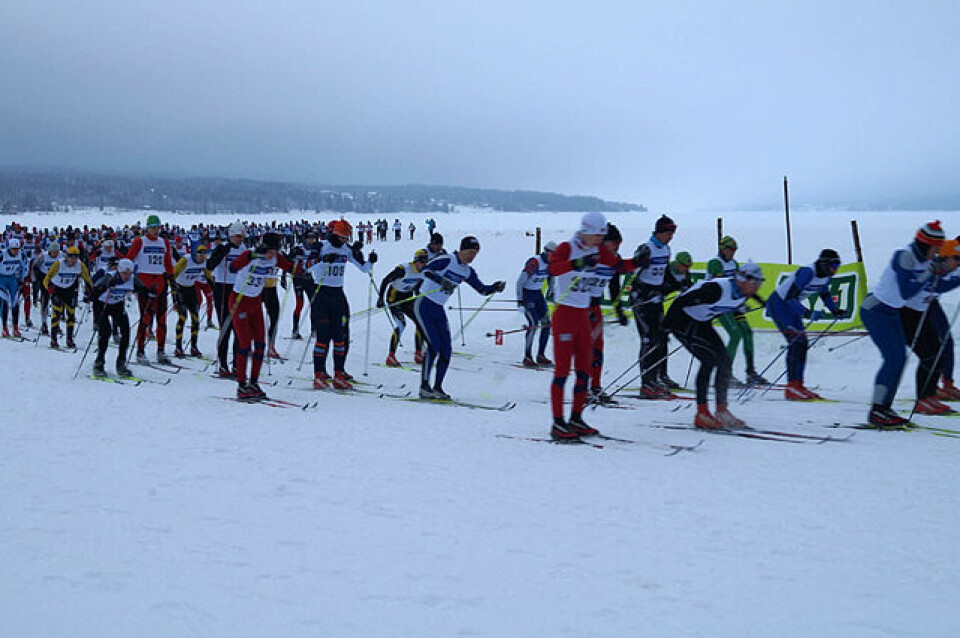 Deltakerrekord i Trysil-Knut-rennet